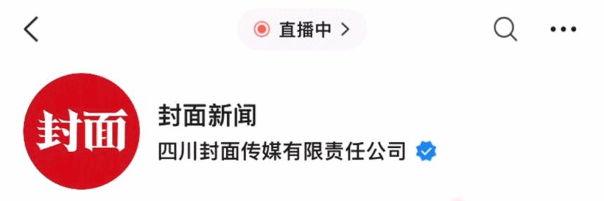樊振东亮相慕尼黑将观战欧冠决赛