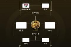 亚洲独苗出局！弗鲁米嫩塞闯世俱杯4强，迎战蓝军帕尔梅拉斯胜者