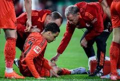 穆西亚拉等4人确定缺阵，国米遭遇多点伤情，拜仁7人受困伤病
