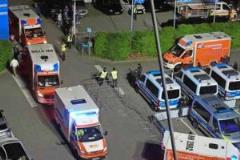 汉堡球迷冲场庆祝升级致19人重伤部分草皮被挖走